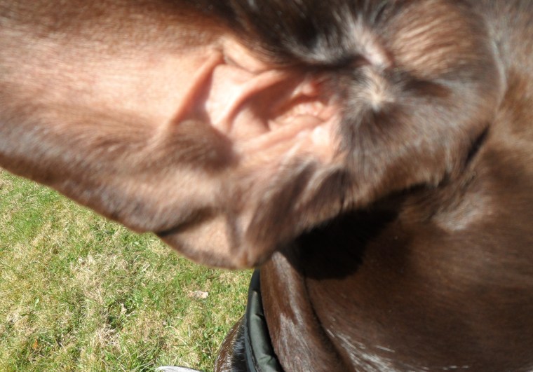 Här är fliken från en annan vinkel.