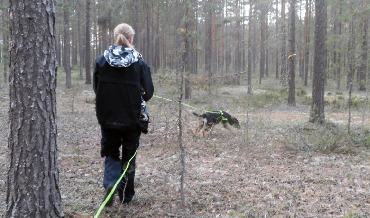 Sara Markström och hennes blandras Leah hade en skön avslappnad stil.