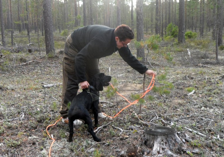 Här blev det lite lintrassel runt en buske. Men Loella Cederstrand är cool och reder ut det.