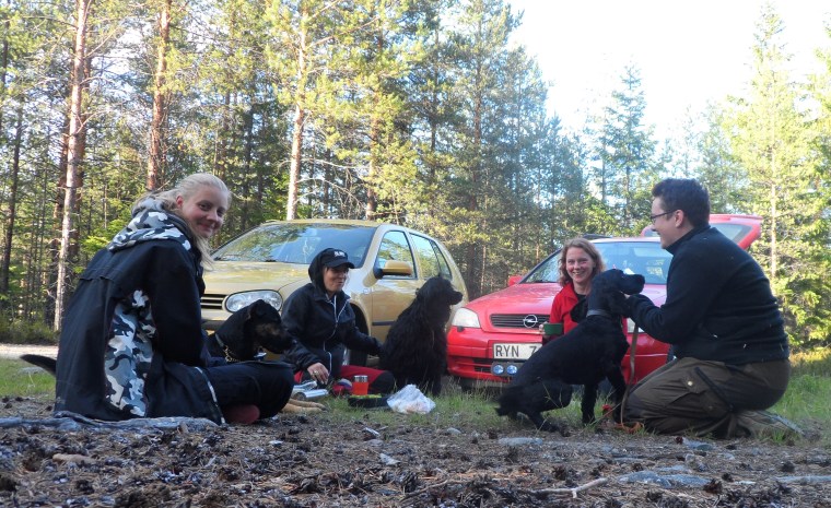 Fikadags medan spåren ligger till sig.