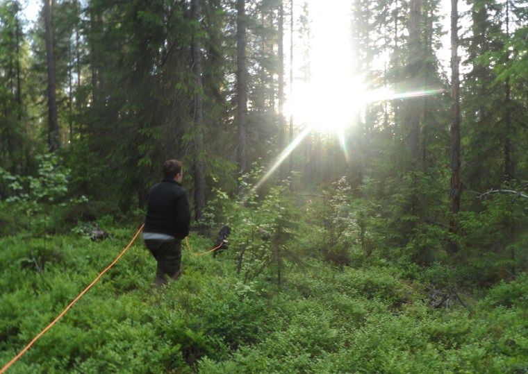 Loella och Santos spårar i kvällssolen.