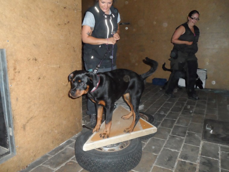 Vi testade bland annat instabila underlag inne i brandmännens övningshus. Här är det Caxa och Moa som tränar.