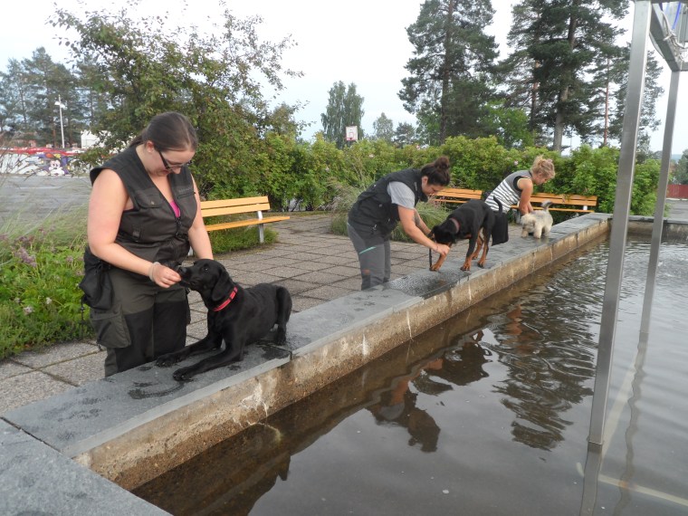 Här tränar delar av kursgänget på att balansera invid fontänen.