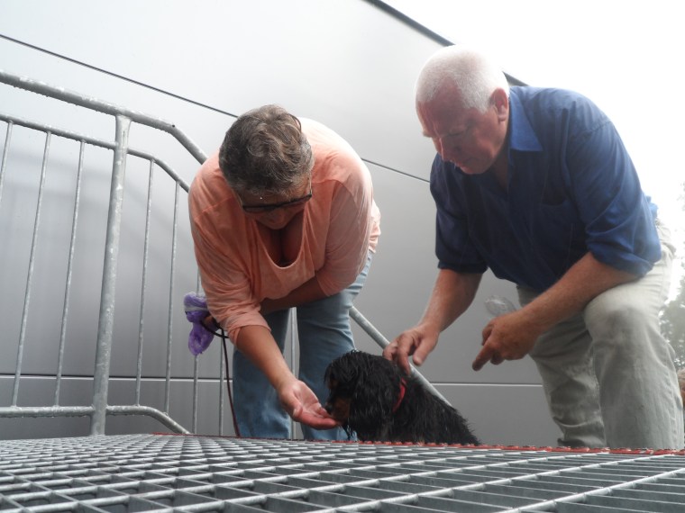 Iris och Göte lockade Rocky uppför trappan.