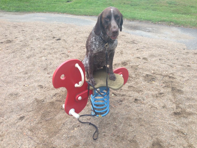 En lätt koncentrerad min av Hagel. =)
