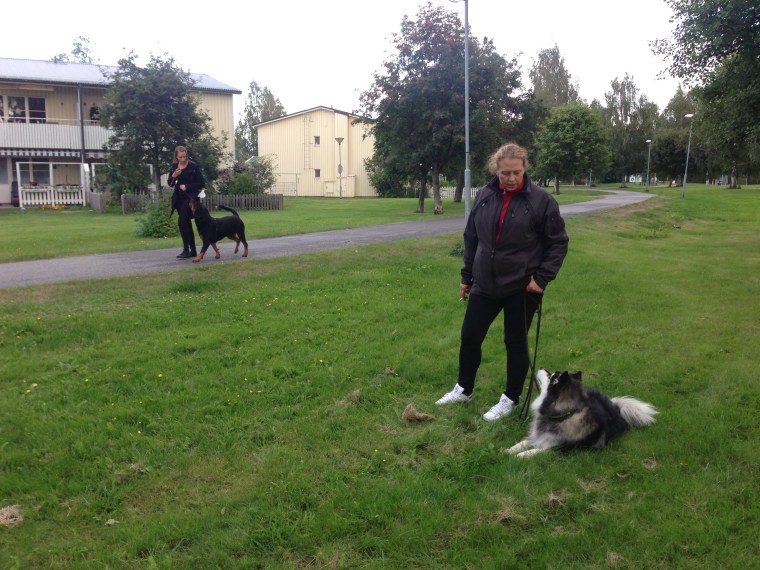 Ozzy och Stina passerar Susanne Ericson och Jackpot utan problem =)