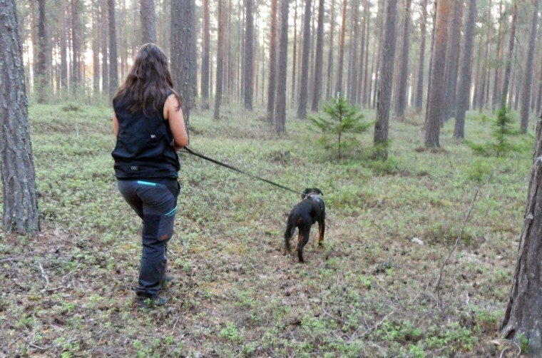 Moa och Caxa löste spåret fint, hittade pinnen och slutet.