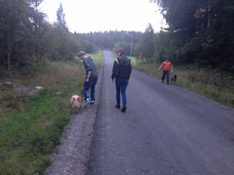 Efter några möten med riktigt långt avstånd kunde vi genomföra möten på byavägen utan problem.