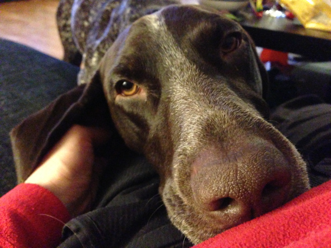 Blicken. Som sjuk möts man av ofta en uttråkad blick.