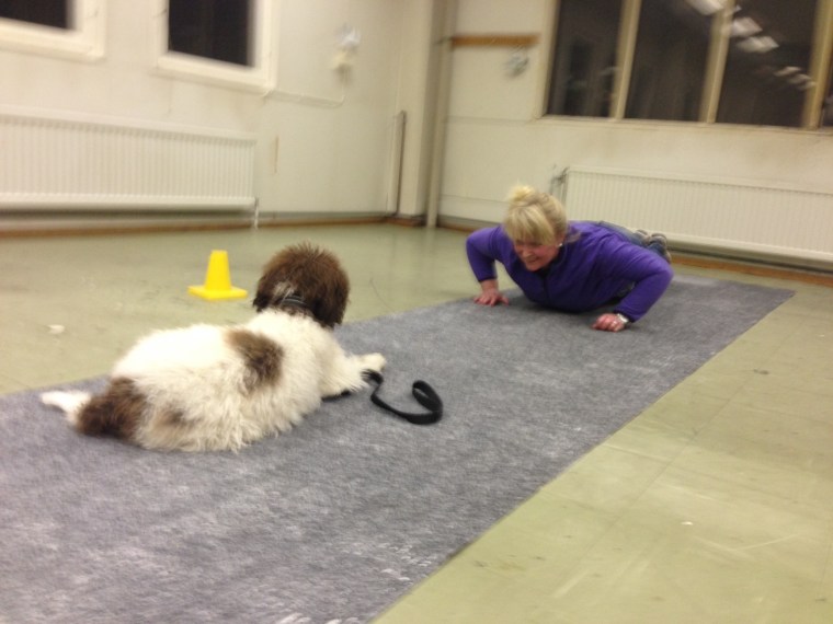 Kolla in Boston och Birgitta! Imponerande.