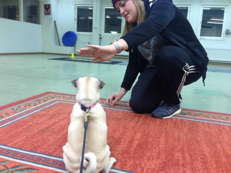 Nina och Signe tränar sitt stanna kvar.