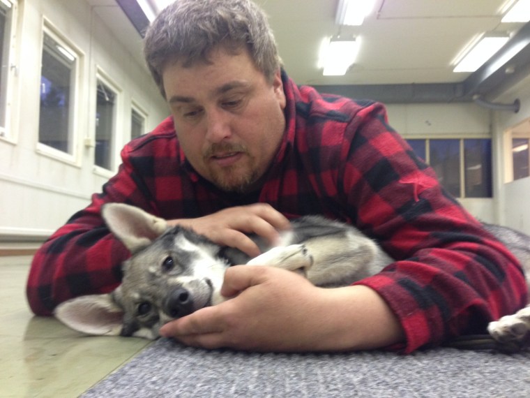 Skönt att kunna komma till ro fastän man är på valpkurs. Bira och Simon.