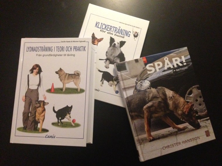 En del av den litteratur som jag läser. Boken längst till vänster är en riktig tjockis - men enormt intressant!