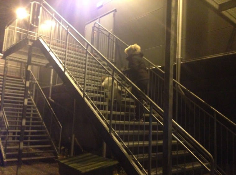 Birgitta och Boston på väg upp.