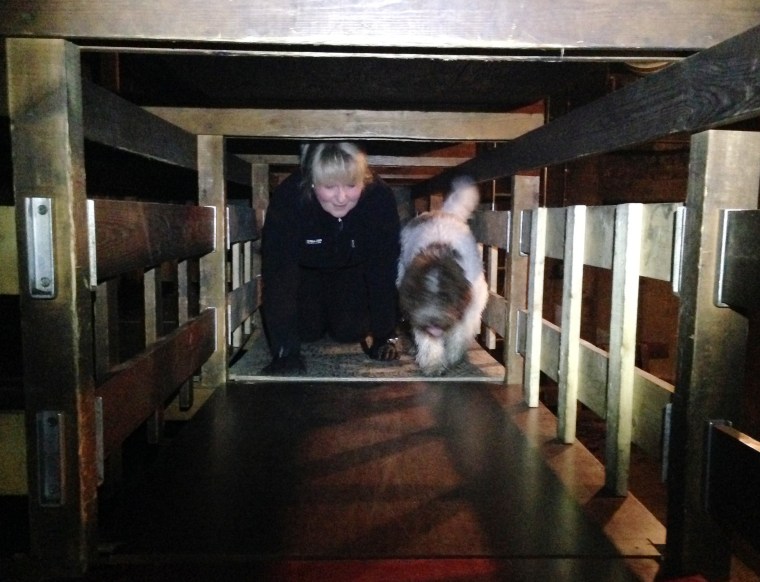 Birgitta och Boston tar sig fram i en labyrint där brandmännen brukar öva.