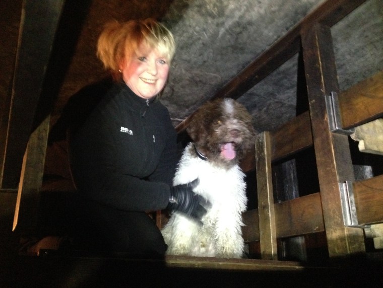 Birgitta och Boston pustar ut.