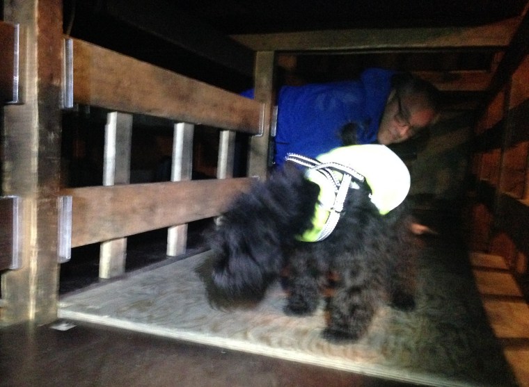 Peter och Doris tog sig runt i labyrinten också.