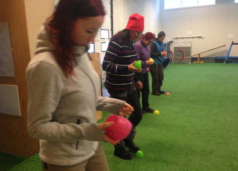 En bild från andra dagen då deltagarna lade ut spår på konstgräset i träningshallen. Skålarna används som riktmärken på var spåren börjar.