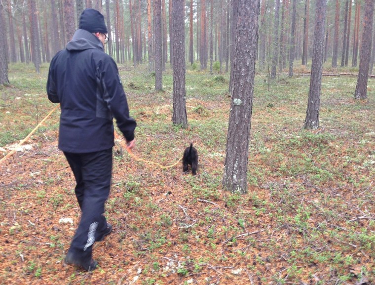 Doris fattade grejen snabbt.