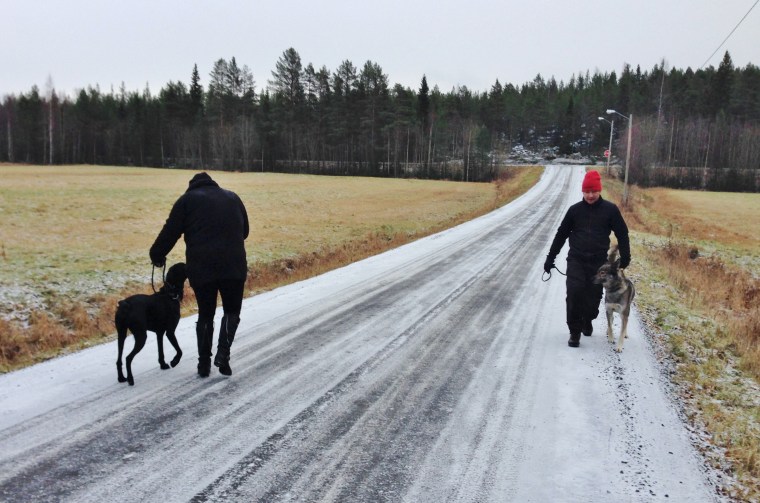 Hur brukar dina hundmöten se ut?