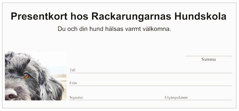 Så här ser presentkortet ut, redo att fyllas i med dina uppgifter.