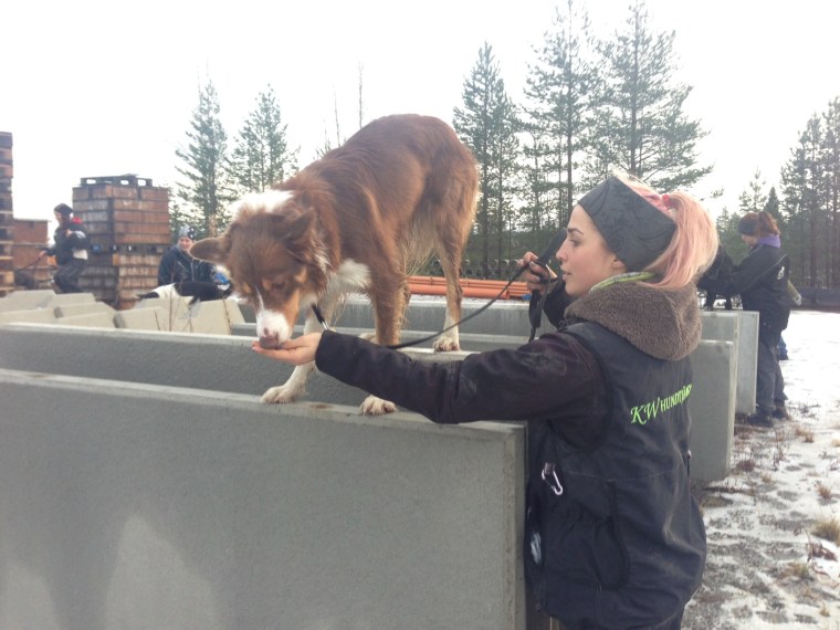 Lad och Anna Jonsson.