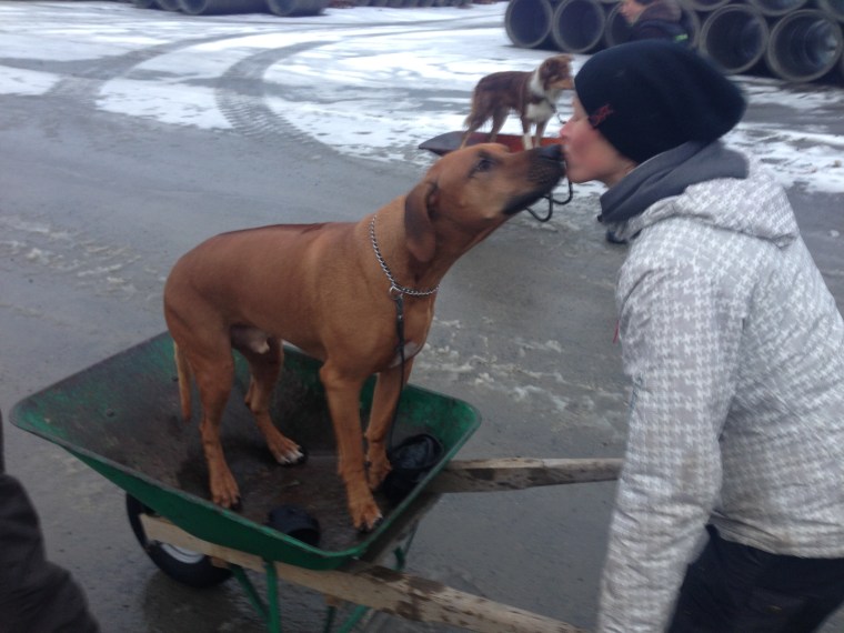 Affe och Annica Nyström pussas.
