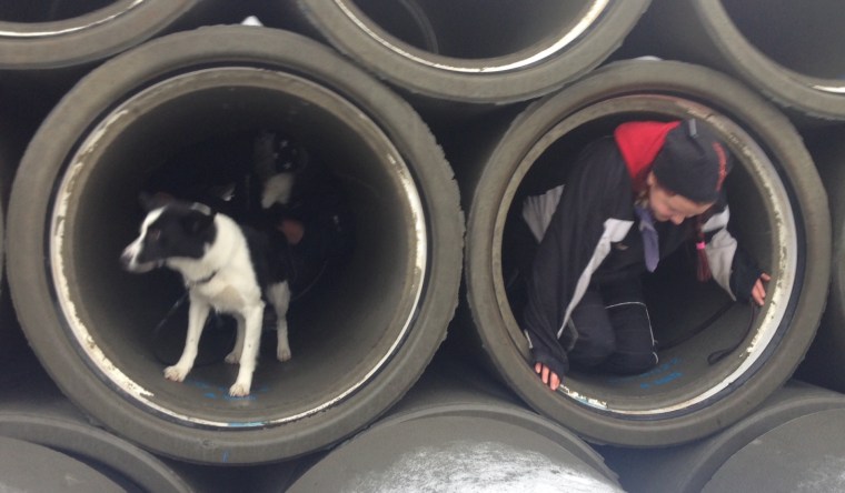 Nessie i ena röret med matte Louise Holmqvist bakom sig. Titti Hedlund och Snöa i det andra.