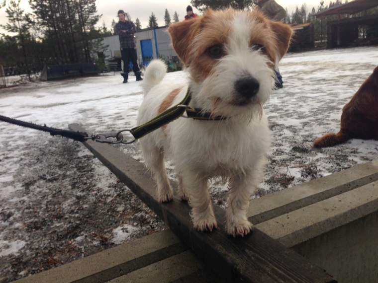 Lea som tillhör Eva Lindström.