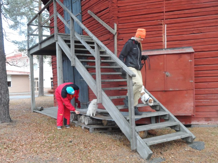 Vi övade även på trätrappor och att gå på plåt.