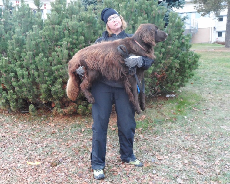 Lätt som en plätt. Yvonne försöker visa med sin min att hunden Reuben knappt väger någonting.