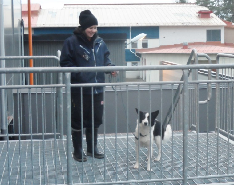 Louise och Nessie trivdes.