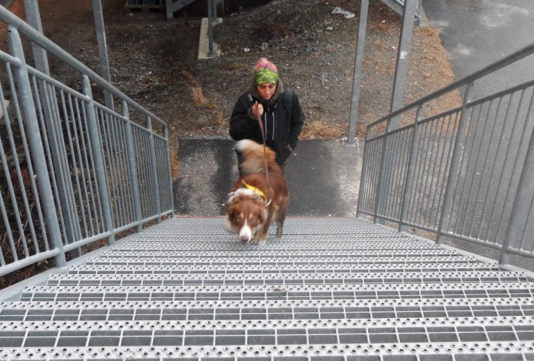 Anna Jonsson och Lad var trygga i trappan.