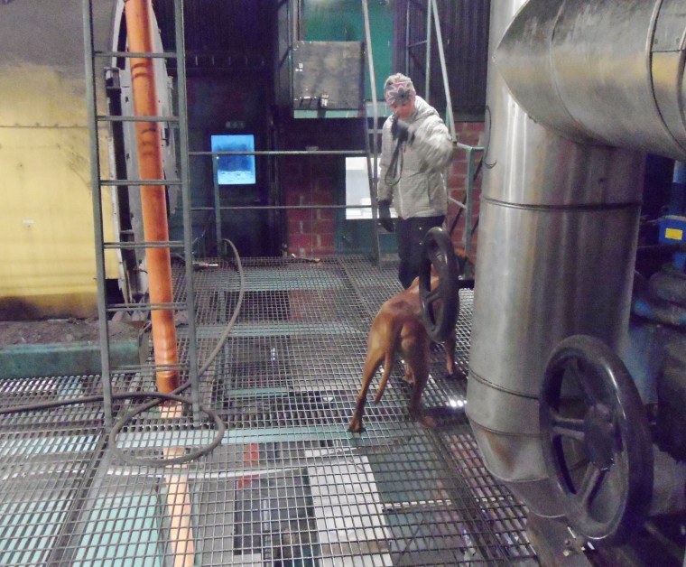 Här är början av pannrummet. Ett skitbra träningsställe =)