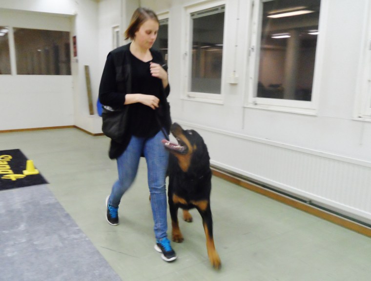 Vi kan träna inomhus.