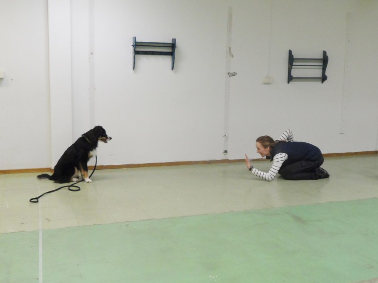 Therese Gustafsson och aussien Diva provade olika retsamma rörelser.