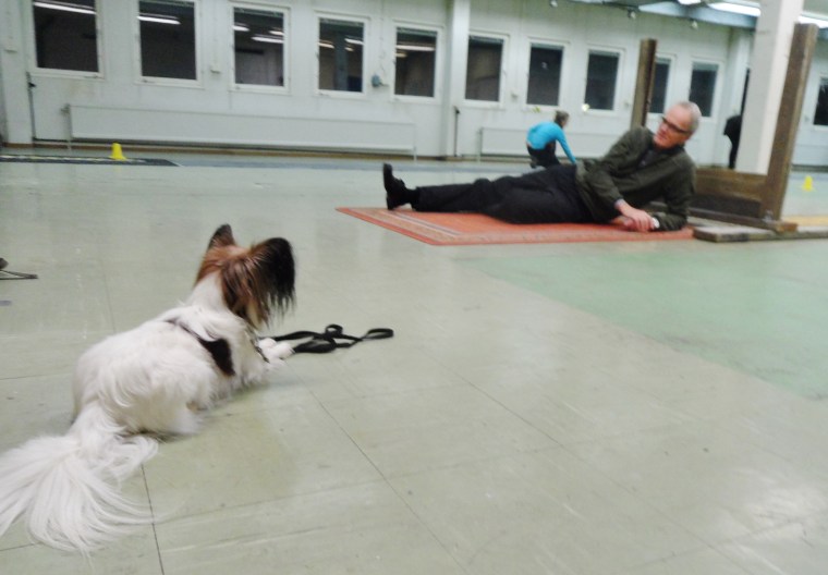 Stig Brännström visade att han hade full koll på sin papillion Sumi.