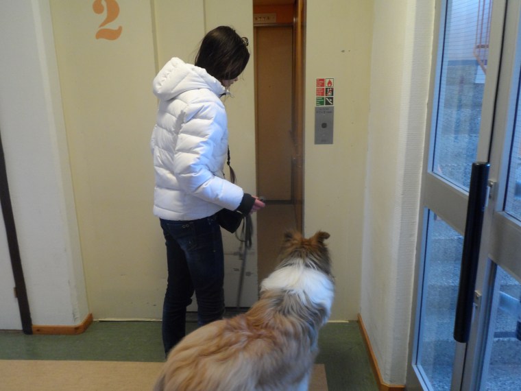 Hissdörren öppnas, lite spännande är det allt.