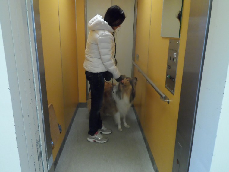 Får man godsaker i hissen blir det snart riktigt trevligt att åka hiss.