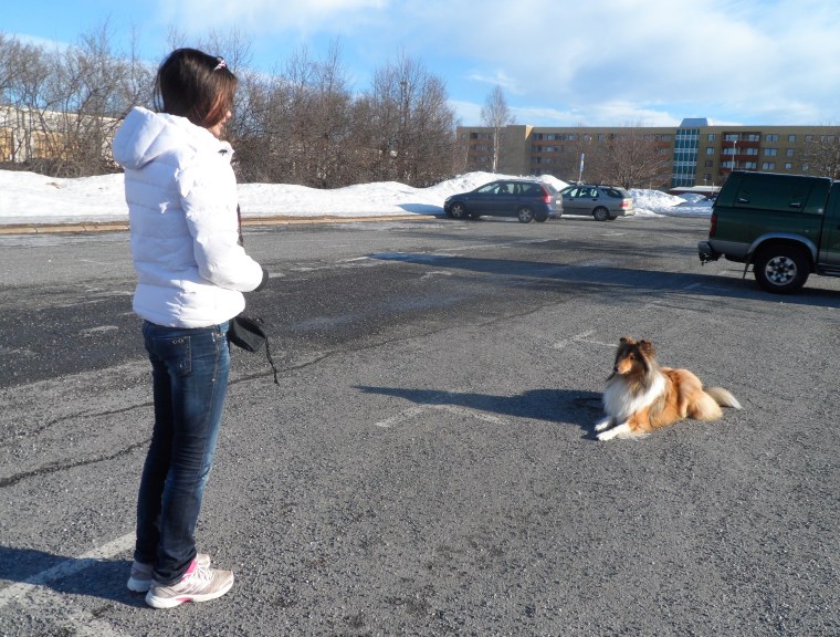 Ligg stanna kvar – bra att kunna.