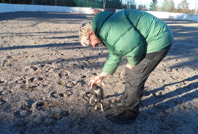 Vi började med att bara komma och hämta en korv.