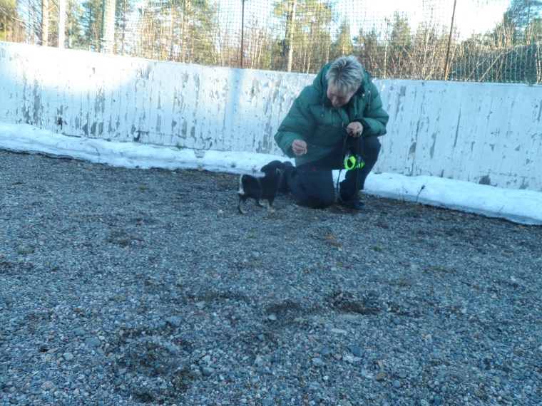 Sedan funkade det att ropa in även när Monika hade selen synlig.