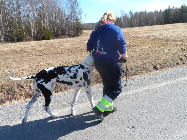 Kristina jobbade fint med sin Sheriffen.
