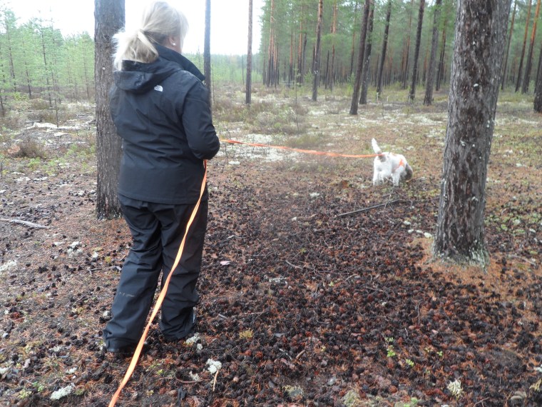 Birgitta Sundberg och lagotton Boston skötte sig bra.