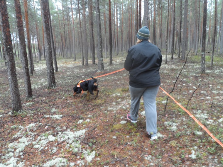 Emilie Renqvist och rottweilern Runa.