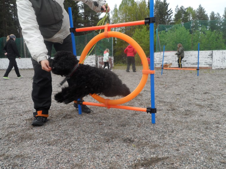 Lite agility blev det också.