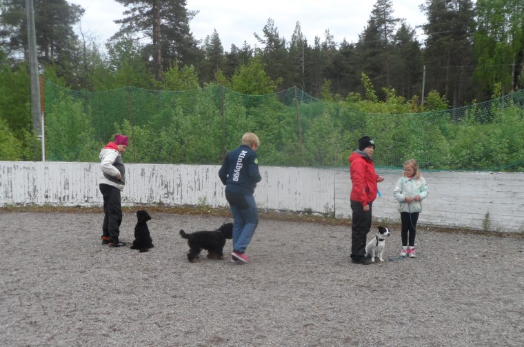 Här går de slalom mellan varandra.