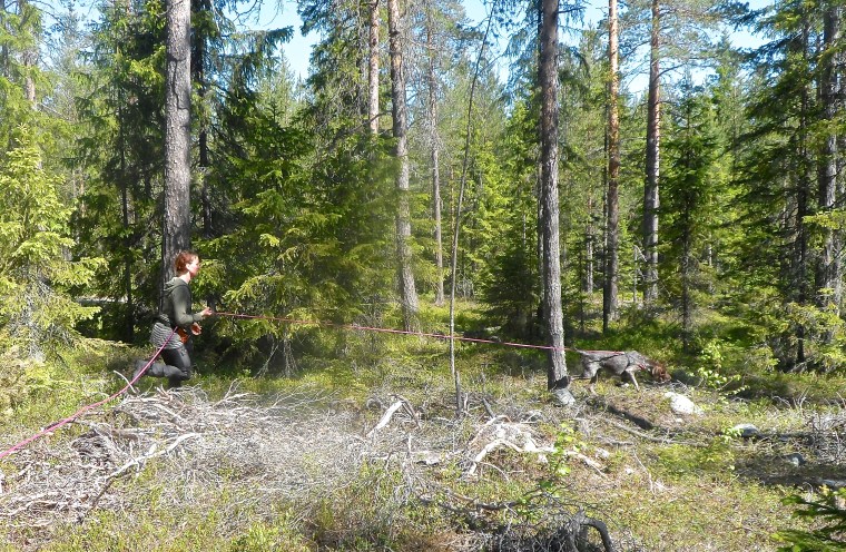 Det går undan när Hagel spårar.