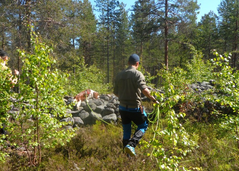 Otis visade husse Petter att spåret faktiskt gick över stenröset.