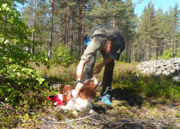 Härlig blick, eller hur?